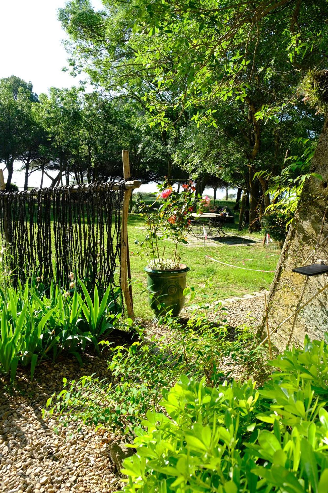 Au Bord De Thau Bed & Breakfast Marseillan  Exterior photo