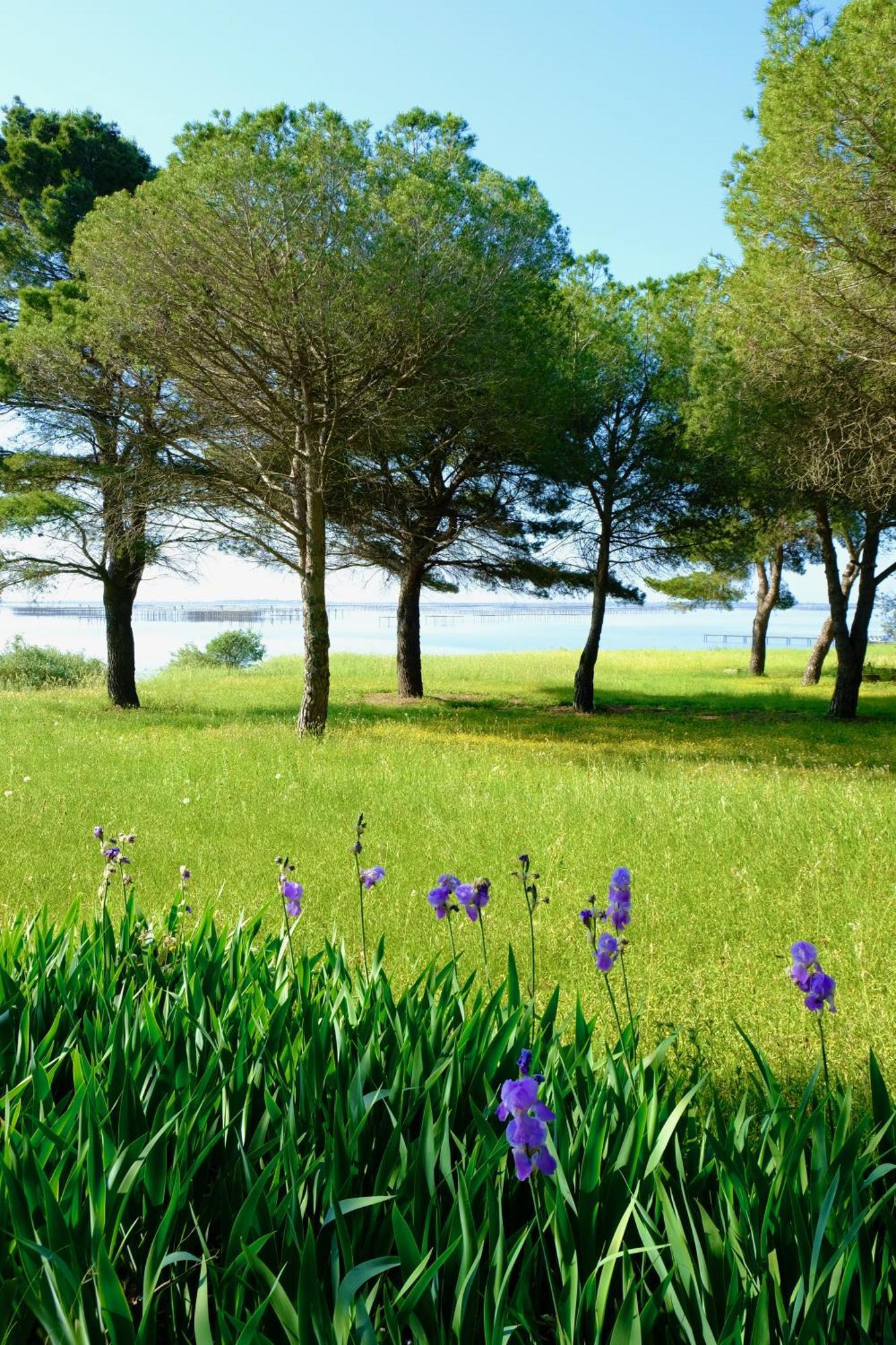 Au Bord De Thau Bed & Breakfast Marseillan  Exterior photo